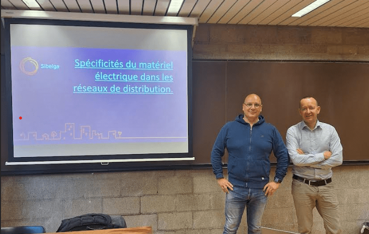 Specificity of electrical equipment in distribution&nbsp;networks